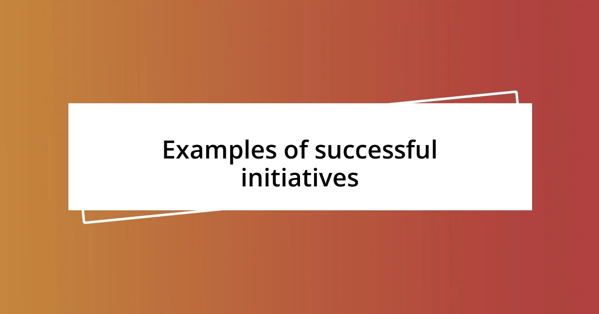 Examples of successful initiatives